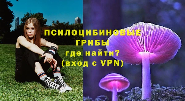 стафф Мегион