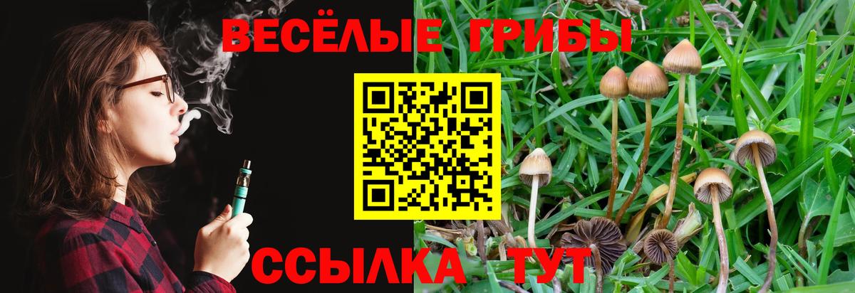 Псилоцибиновые грибы ЛСД Нефтеюганск
